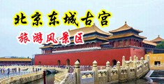 少妇要大鸡吧干中国北京-东城古宫旅游风景区